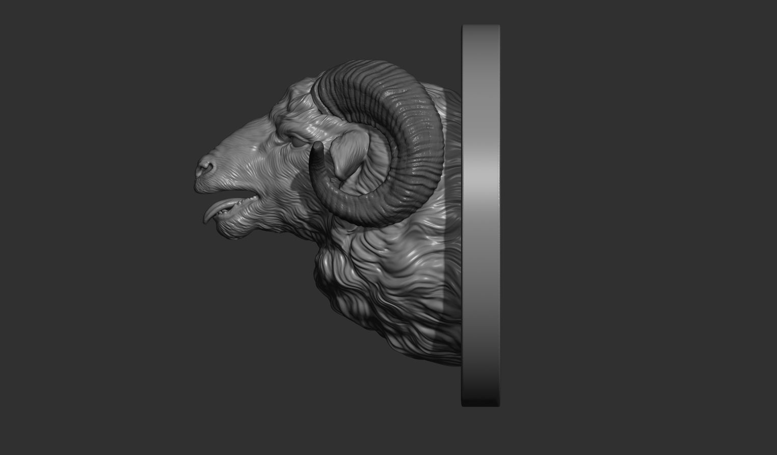 Bleating ram head 3D print model_9