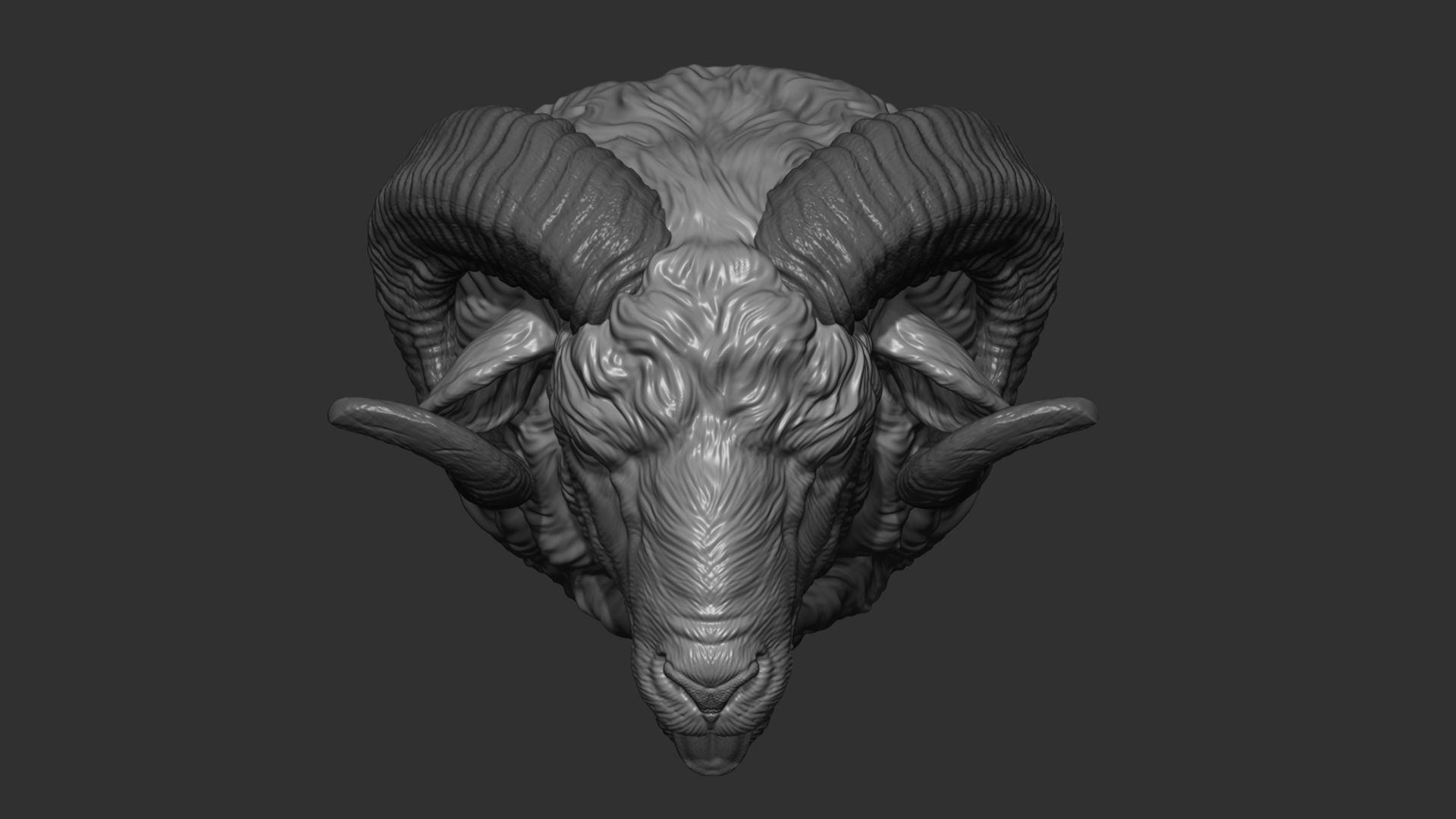 Bleating ram head 3D print model_12