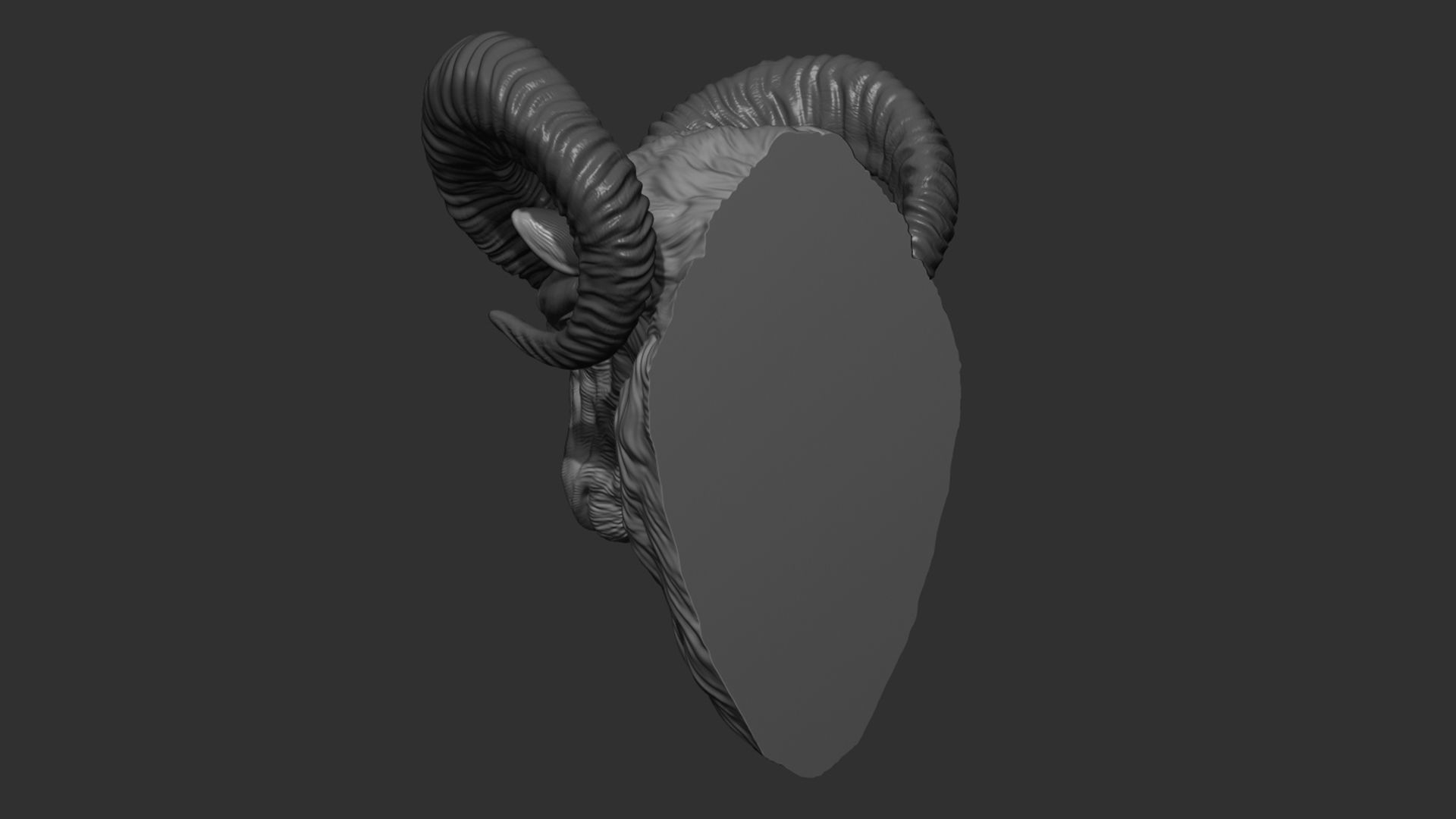 Mouflon ram head 3D print model_11