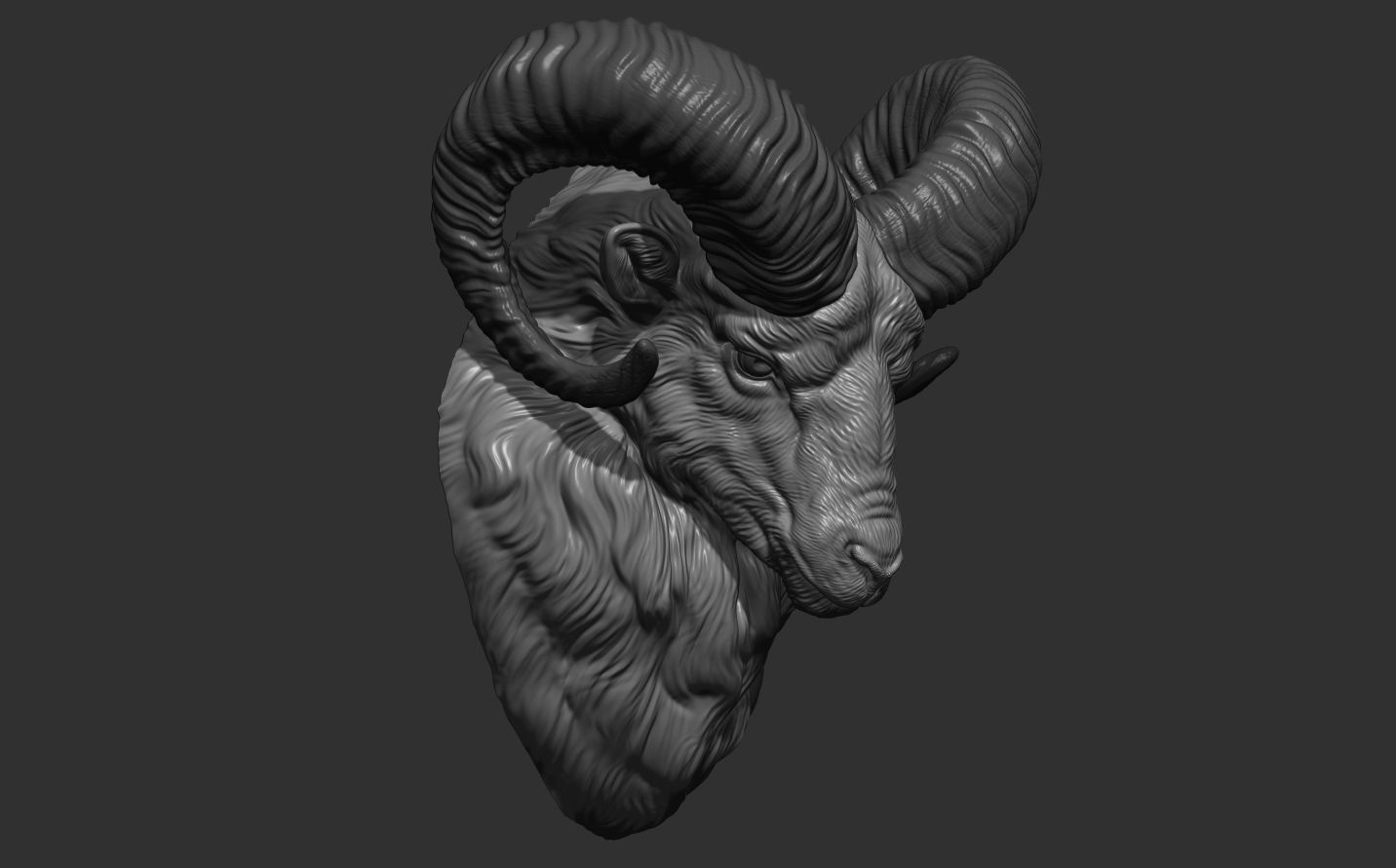 Mouflon ram head 3D print model_16