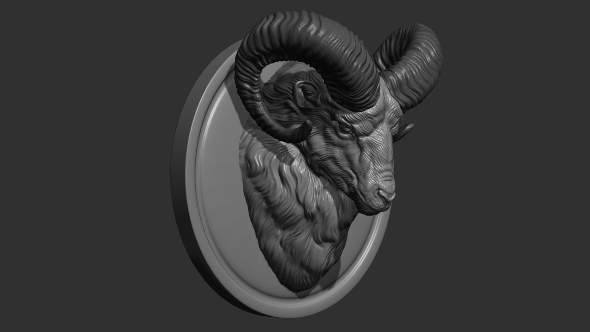 Mouflon ram head 3D print model_5