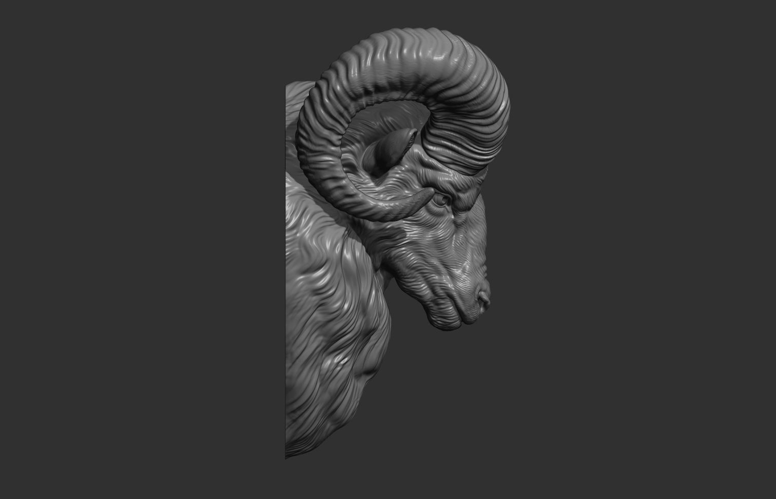 Mouflon ram head 3D print model_14