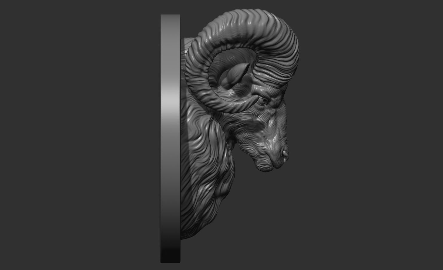 Mouflon ram head 3D print model_9