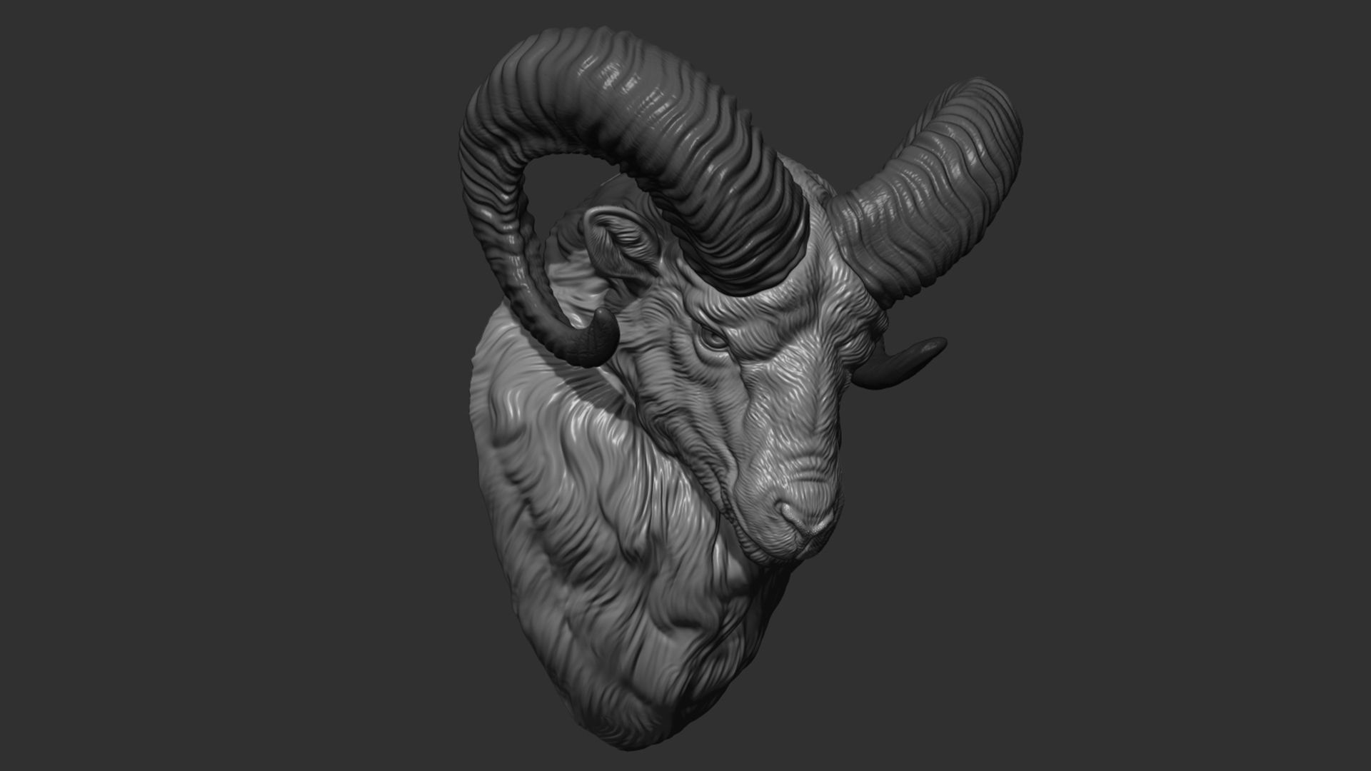 Mouflon ram head 3D print model_12