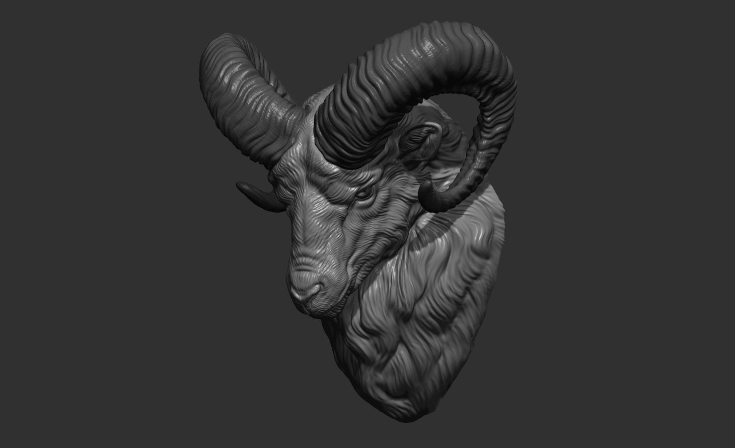 Mouflon ram head 3D print model_15