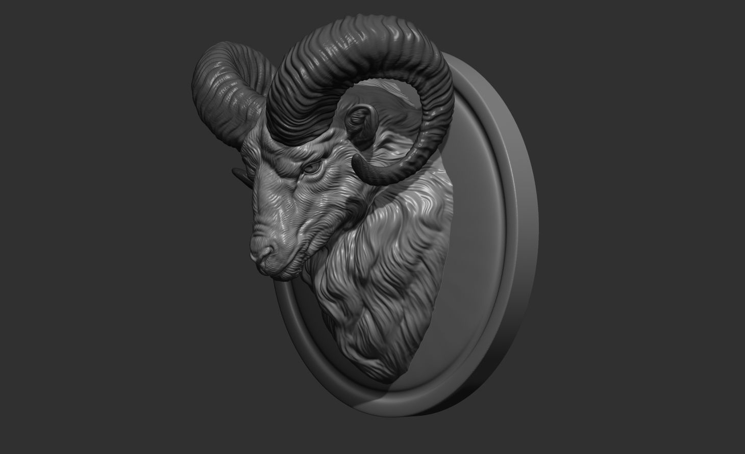 Mouflon ram head 3D print model_8
