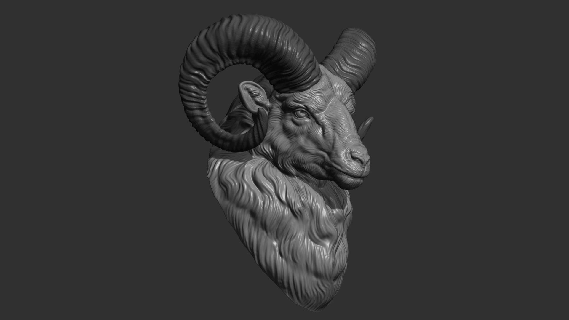 Mouflon ram head 3D print model_10