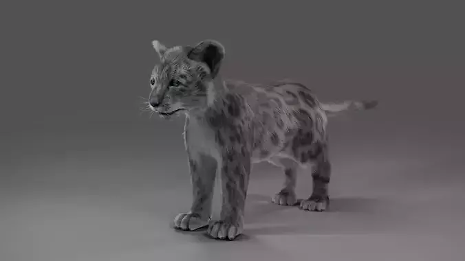 Fur Baby Snow Leopard No Rigged 