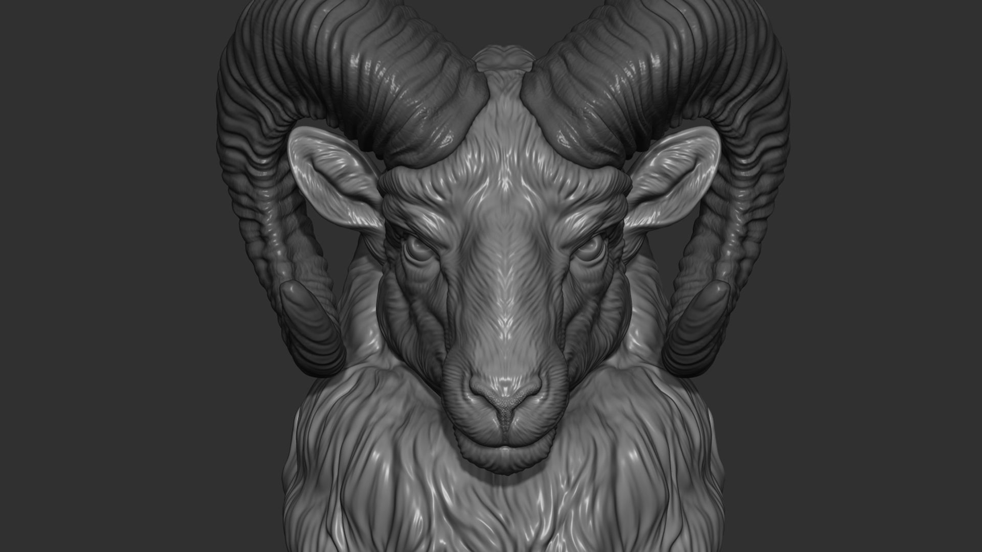 Mouflon Ram statue 3D print model_6