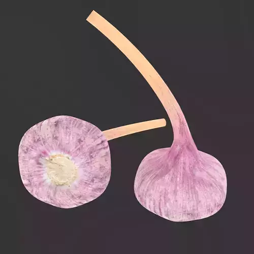 Purple garlic