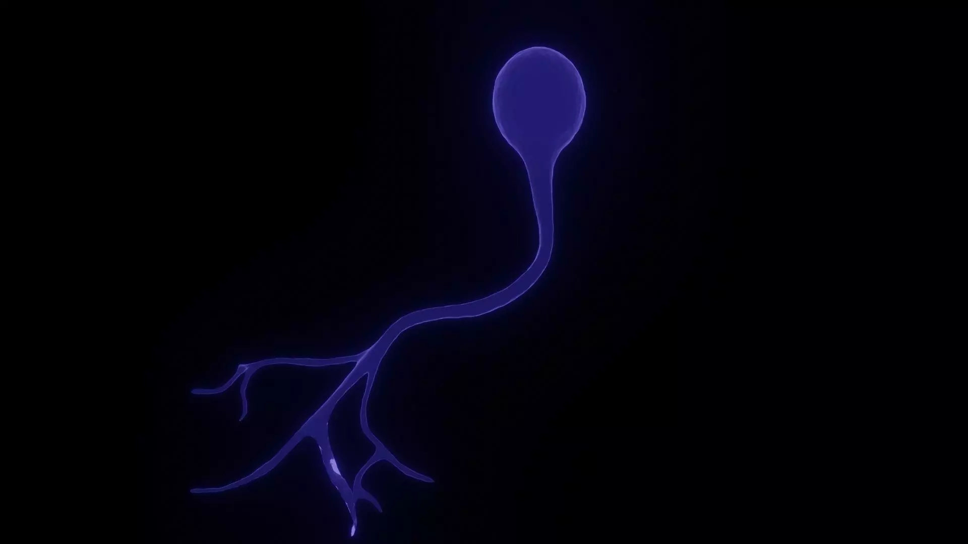 Unipolar Neuron 3D model_0