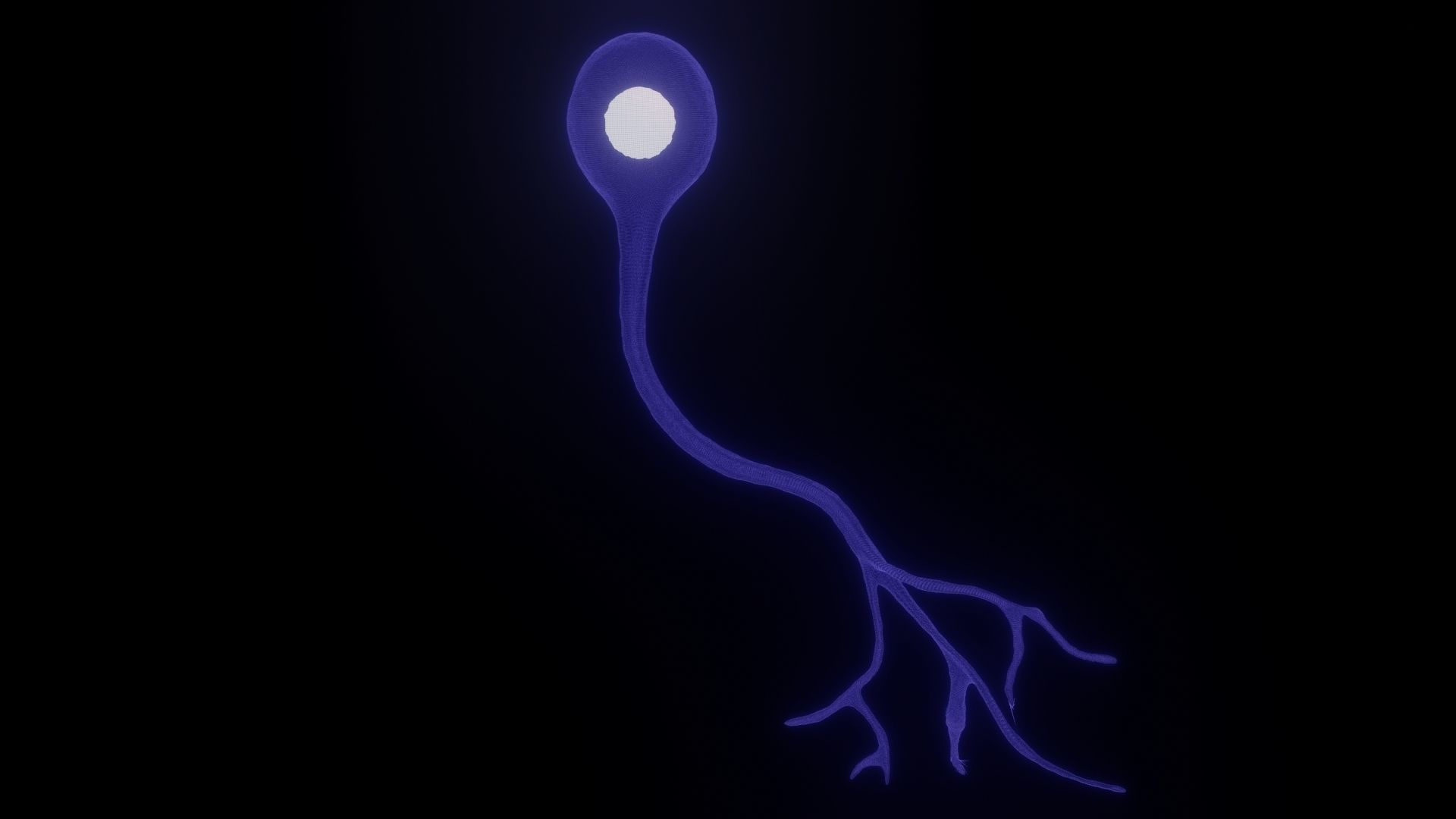 Unipolar Neuron 3D model_1