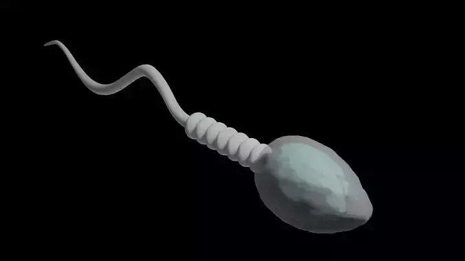 Sperm or Spermatozoon