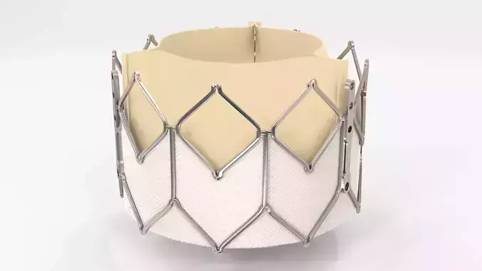 Heart Aortic Valve Implant  - rigged and animated 3D model