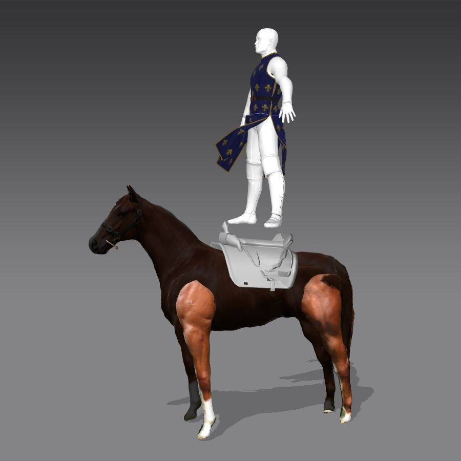 Rigged knight character and horse plus MD clothes 3D model_4