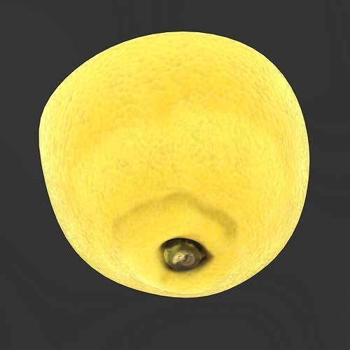 Citrus collection 3D model 6