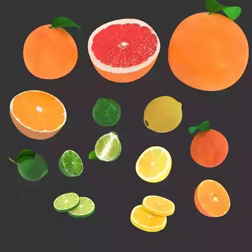 Citrus collection 3D model