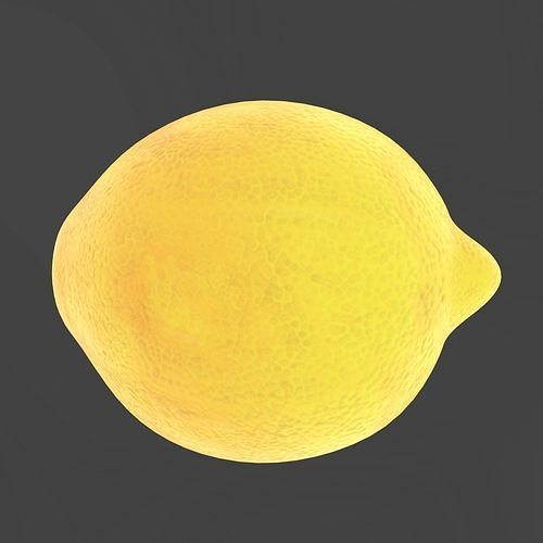 Citrus collection 3D model 7