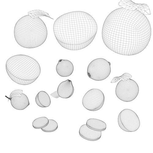 Citrus collection 3D model 4