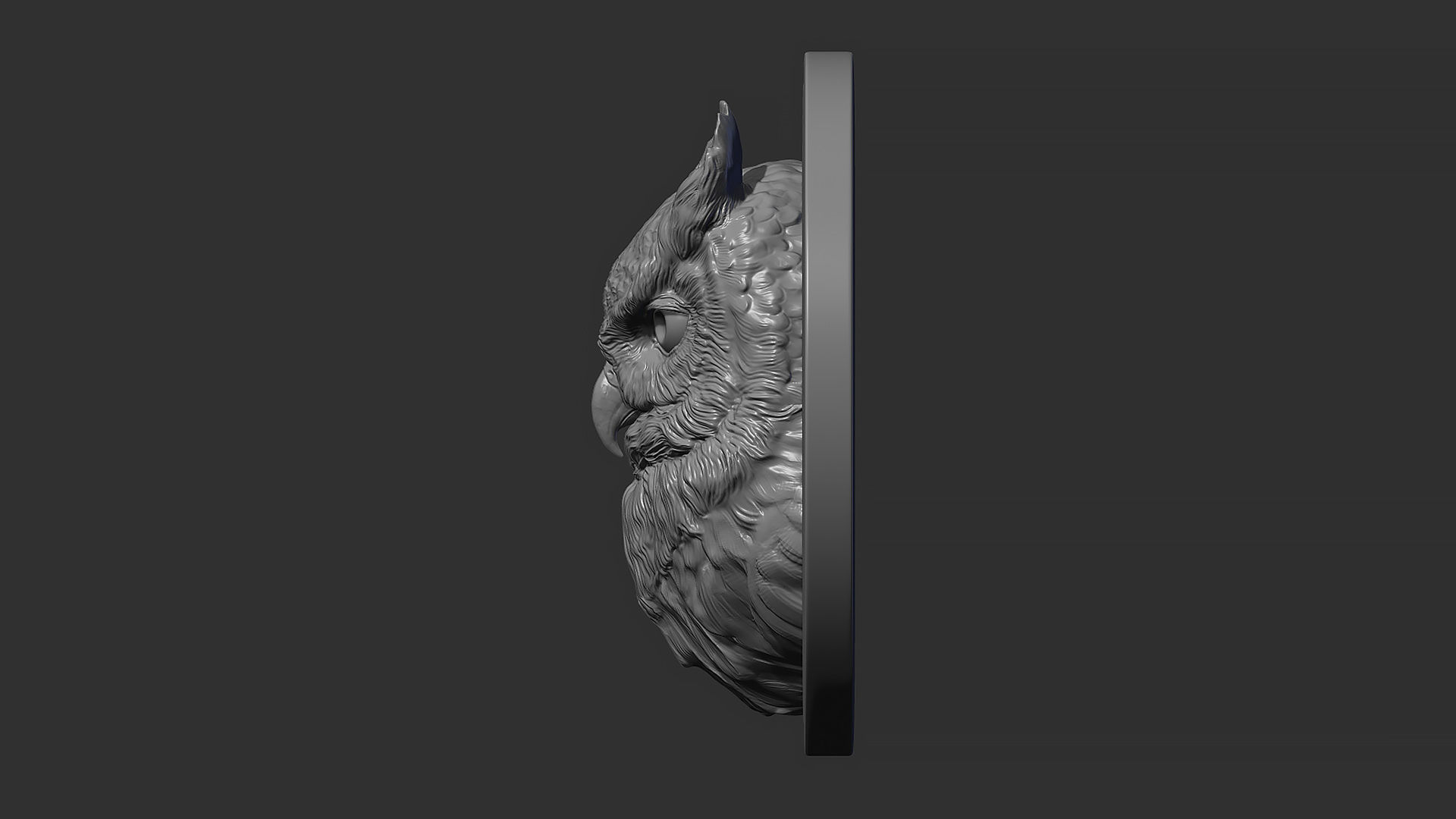Owl head night 3D print model_9
