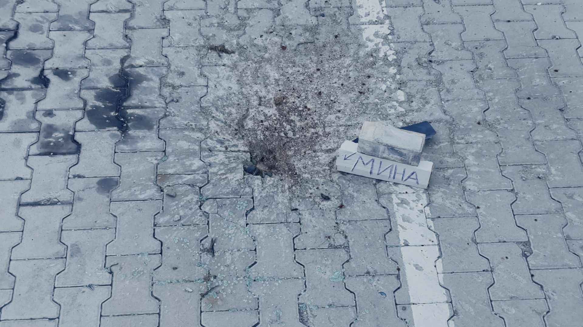 SCANS Ukraine  Floor  Vol 1 Low-poly 3D model_2