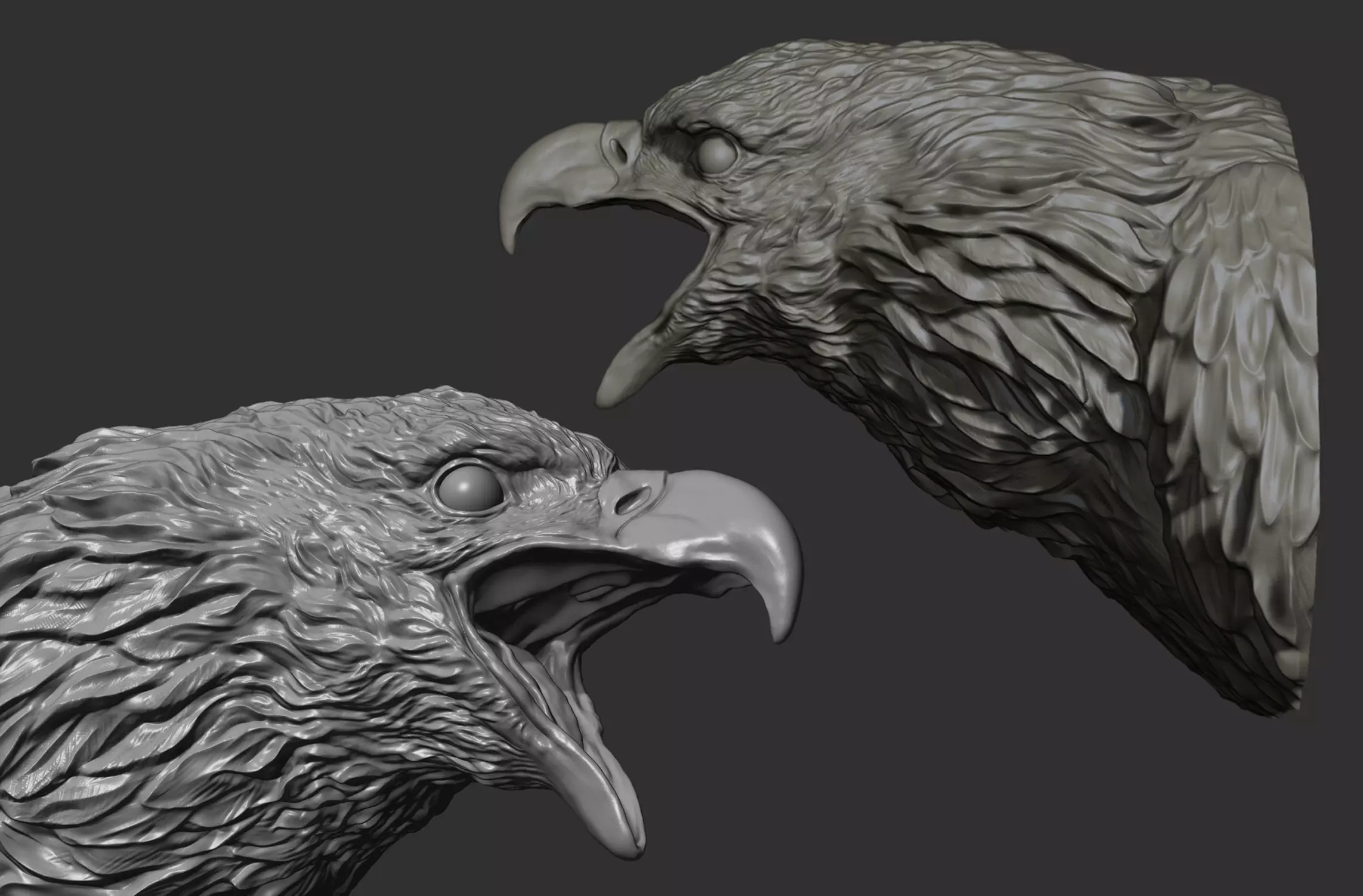 Bald Eagle head 3D print model
