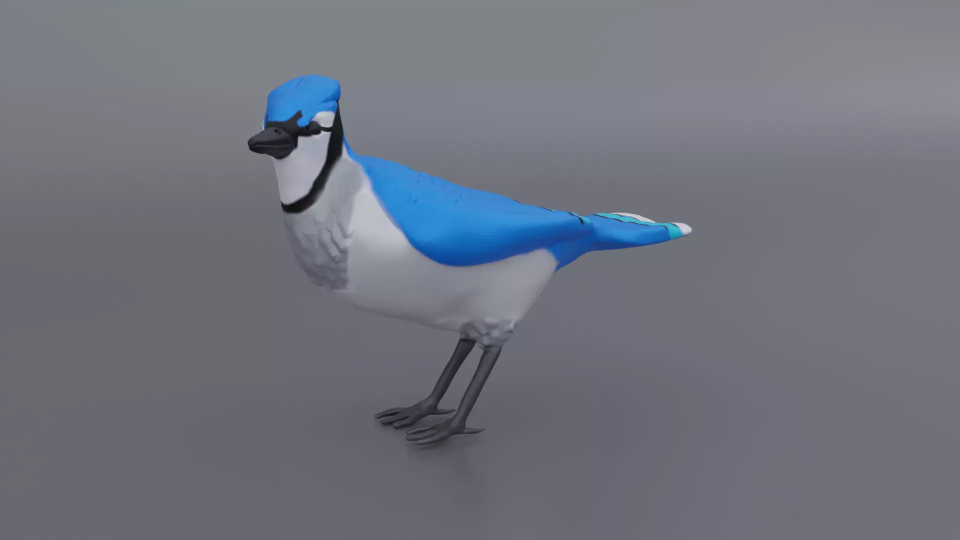 Bluejay jay 3D print model_0