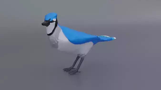 Bluejay jay 3D print model