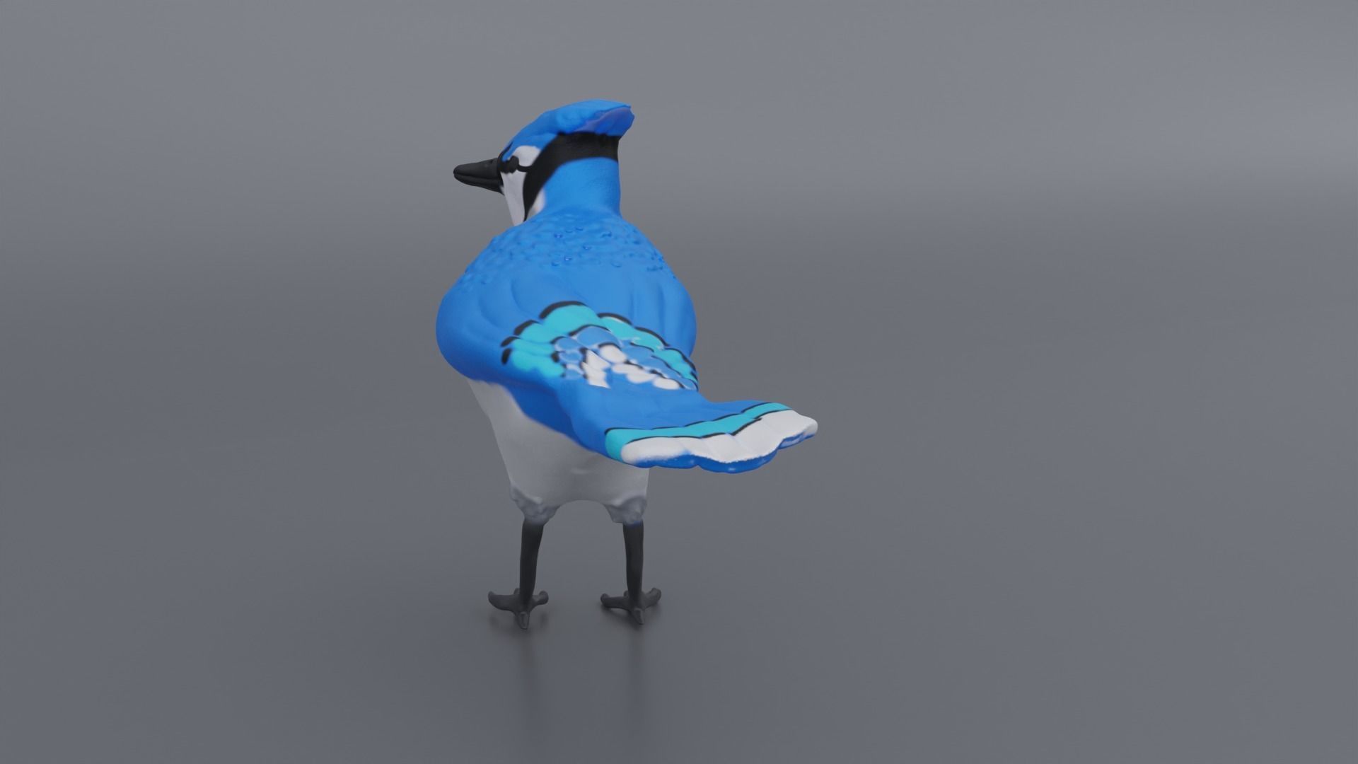 Bluejay jay 3D print model_4
