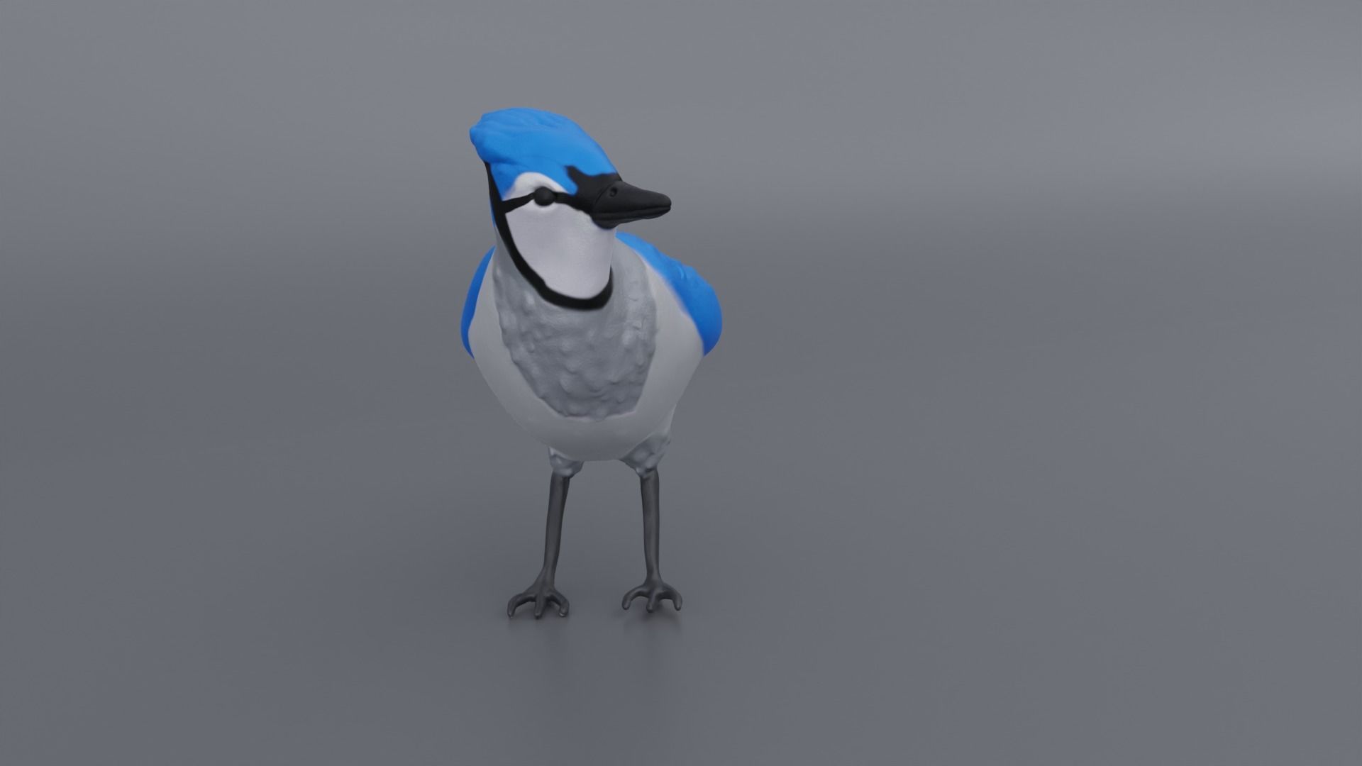 Bluejay jay 3D print model_1