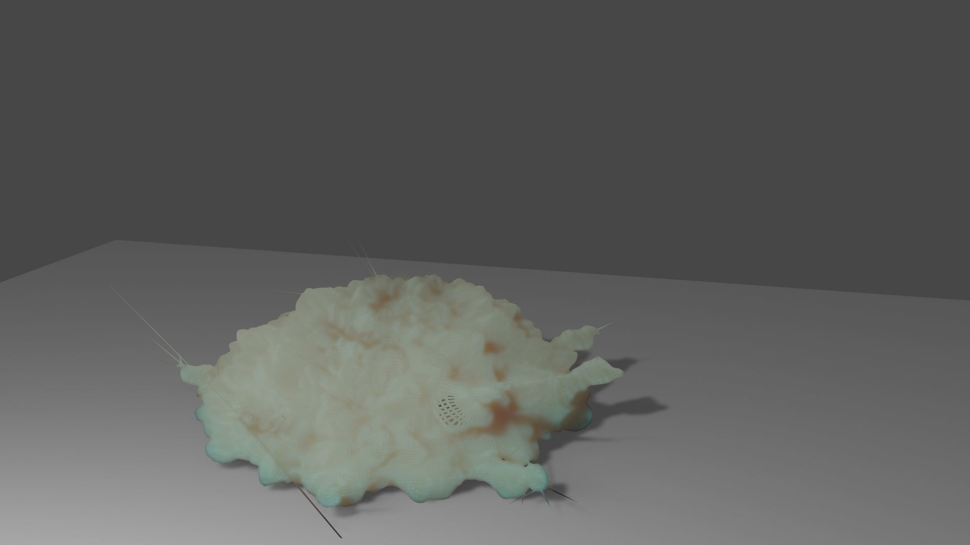 Macrophage in Animation 3D model_6