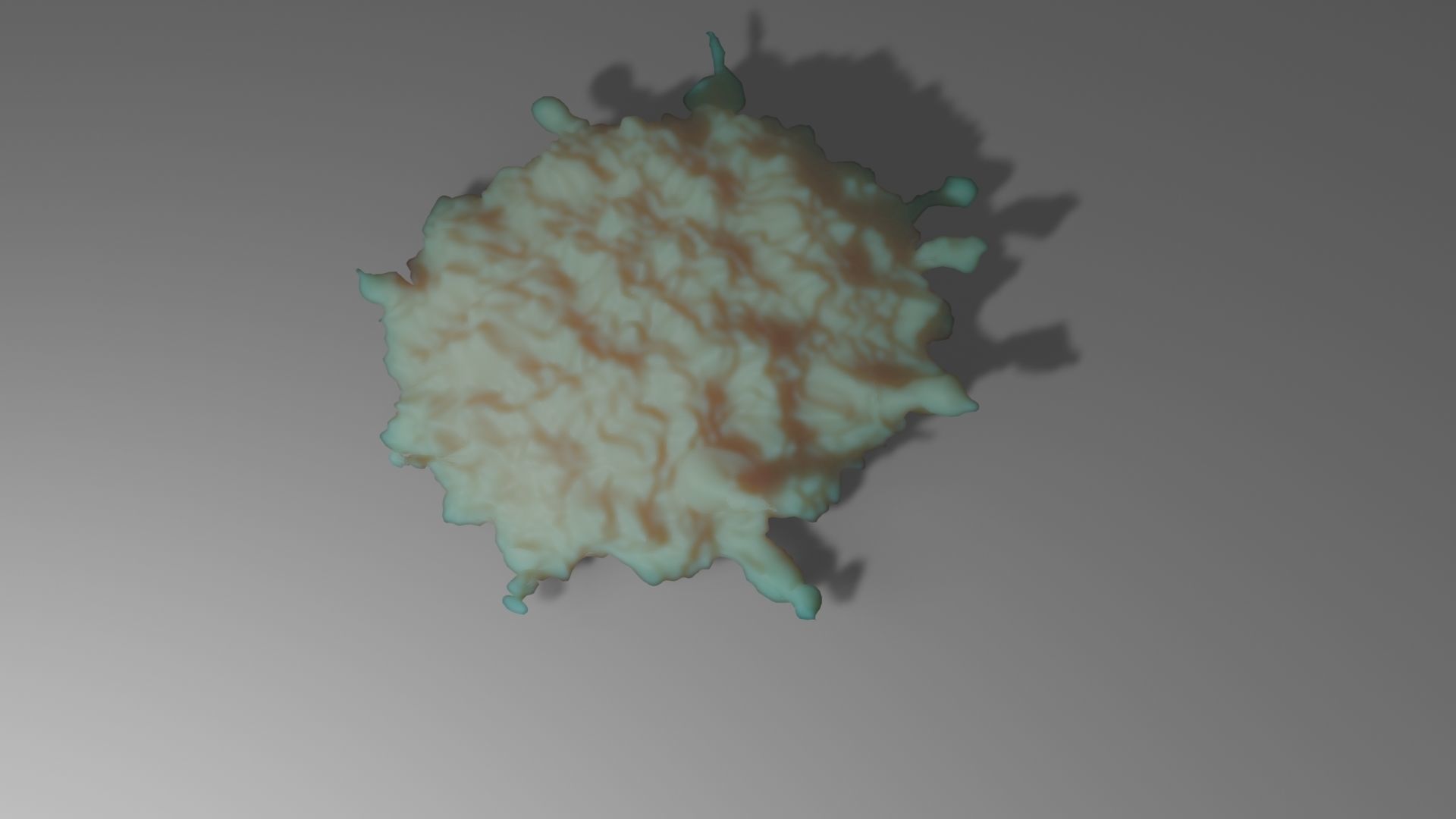 Macrophage in Animation 3D model_4