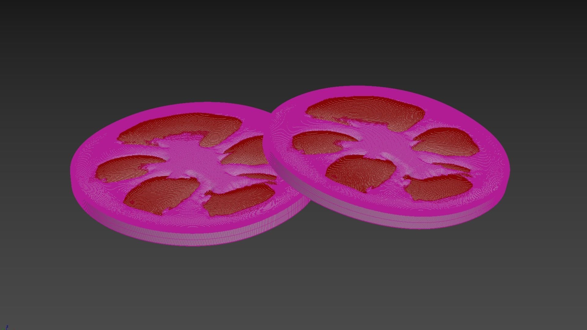 Realistic tomato Slice 3D model_5