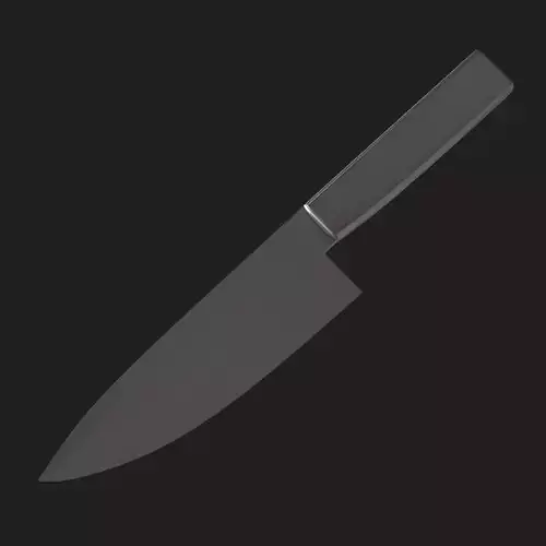 A Steel Kitchen Knife