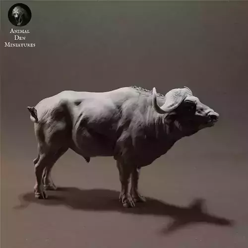 Cape Buffalo 3D print model