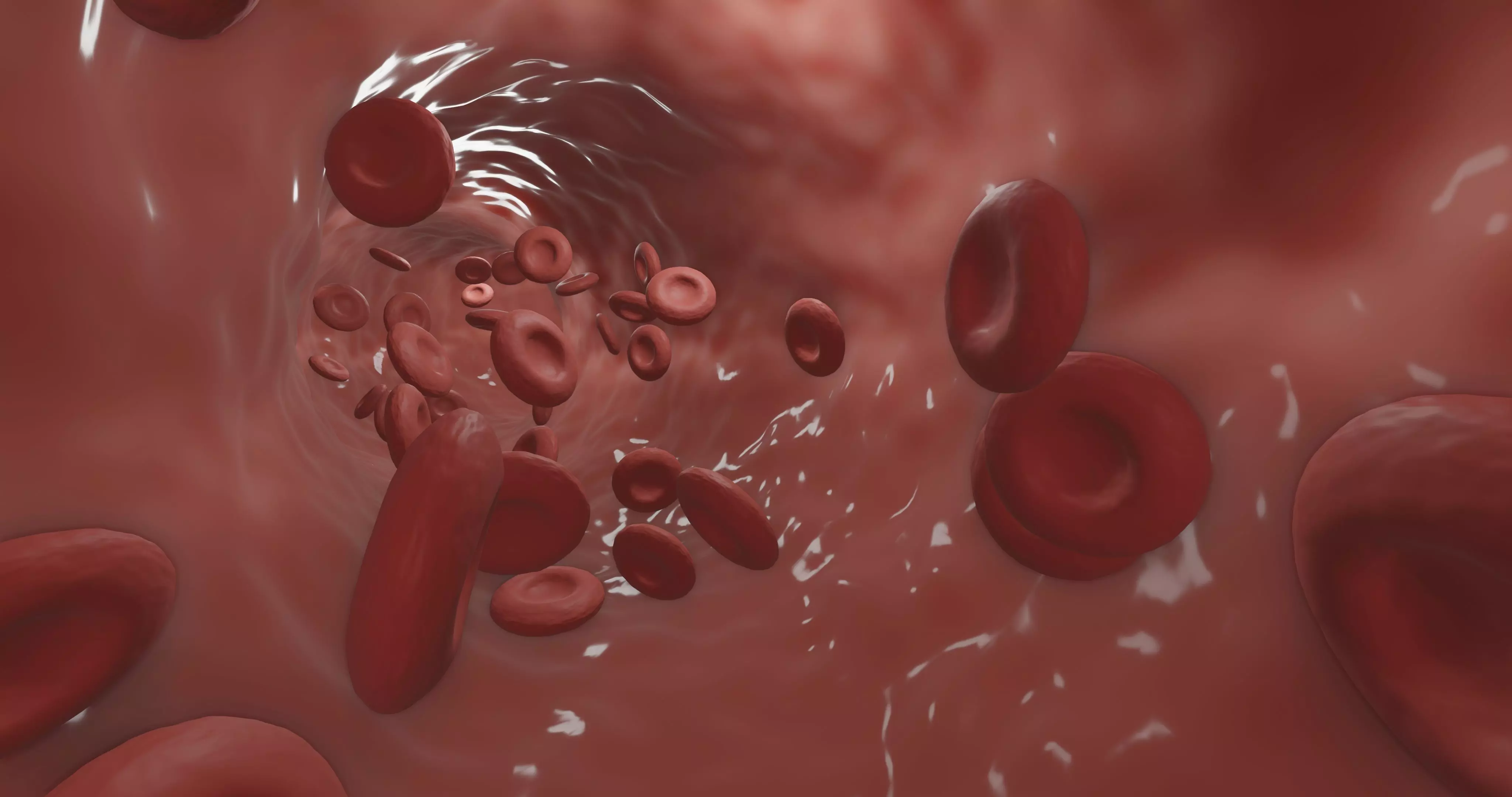 Blood Flow animation 3D model_0