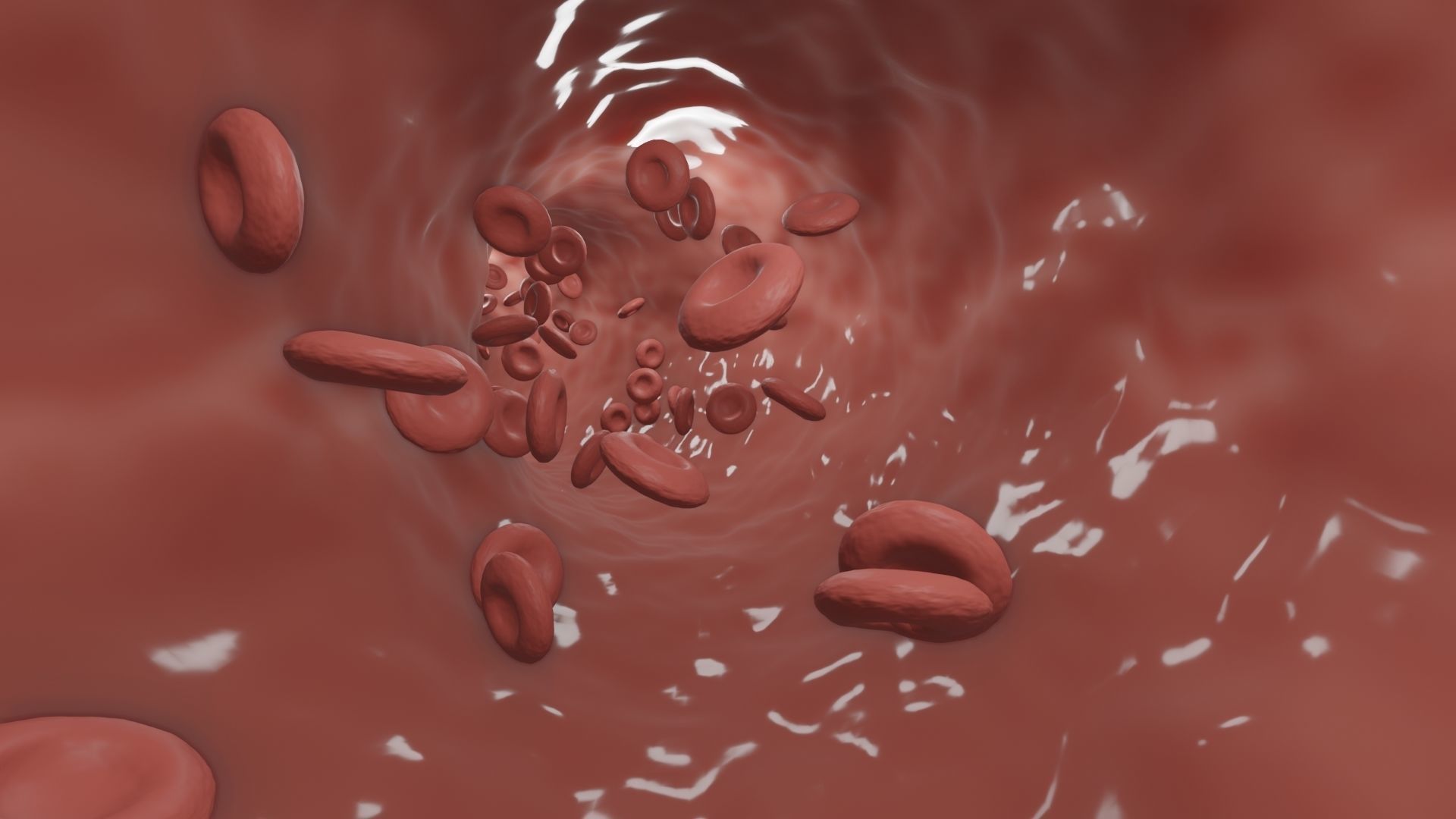 Blood Flow animation 3D model_6