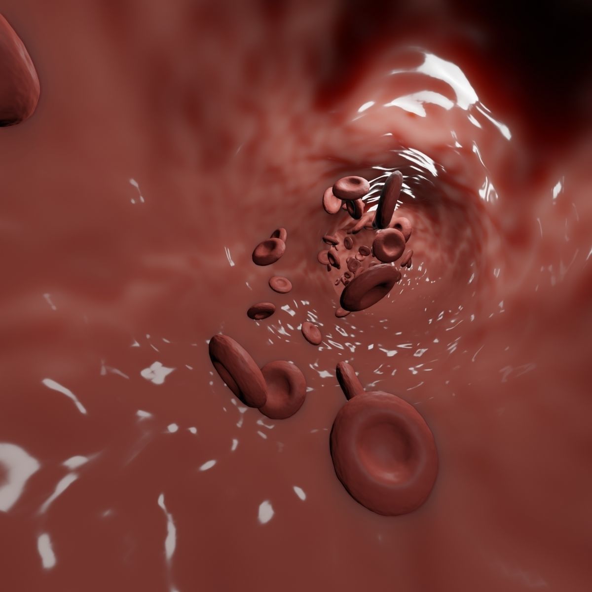Blood Flow animation 3D model_9