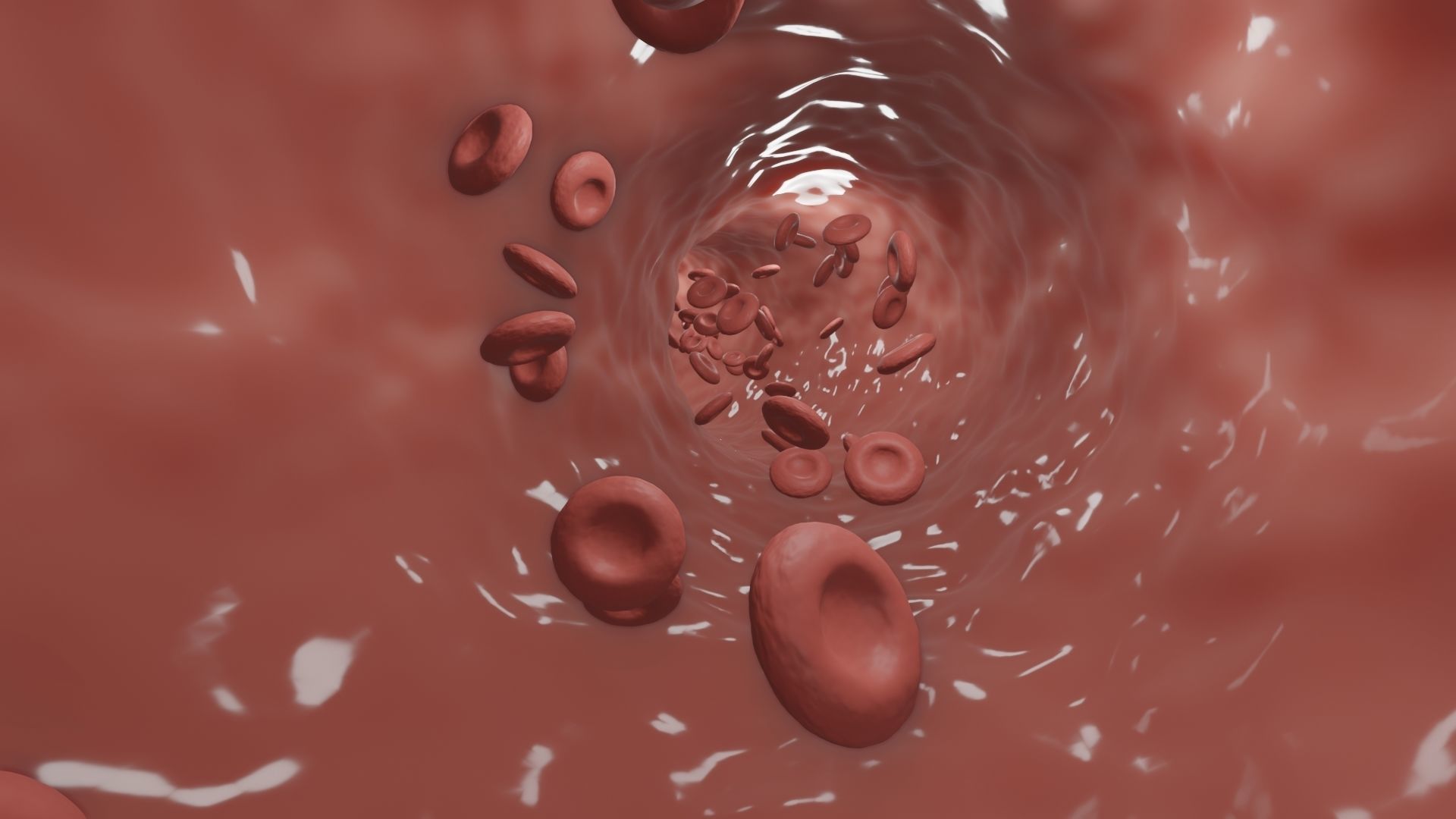 Blood Flow animation 3D model_4