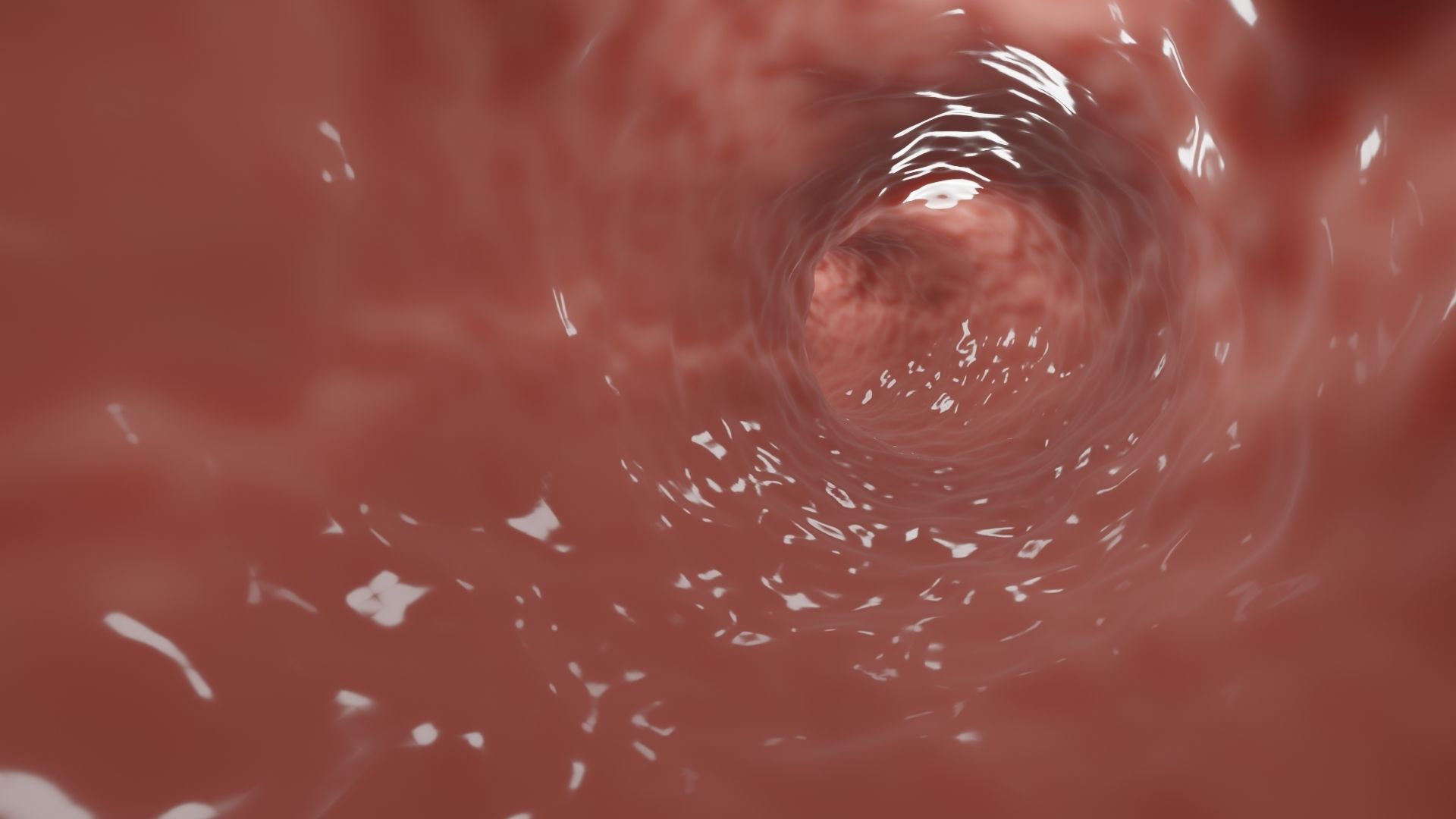 Blood Flow animation 3D model_2