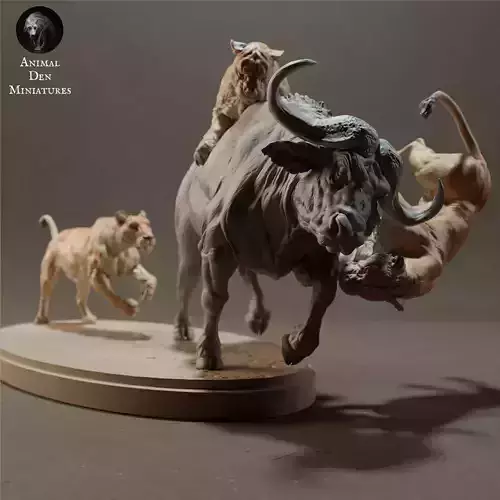 Lionesses Hunting Cape Buffalo 3D print model
