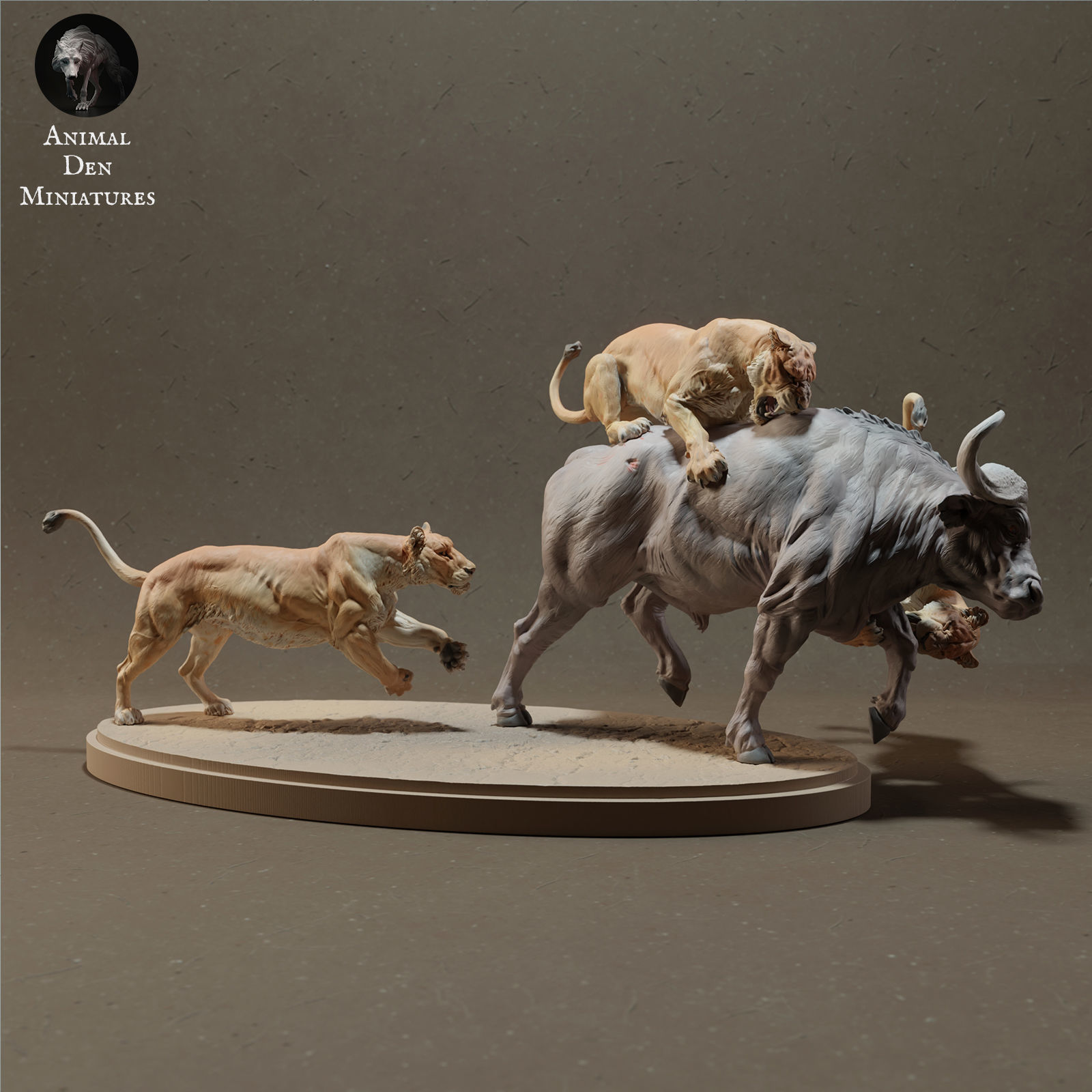 Lionesses Hunting Cape Buffalo 3D print model_3