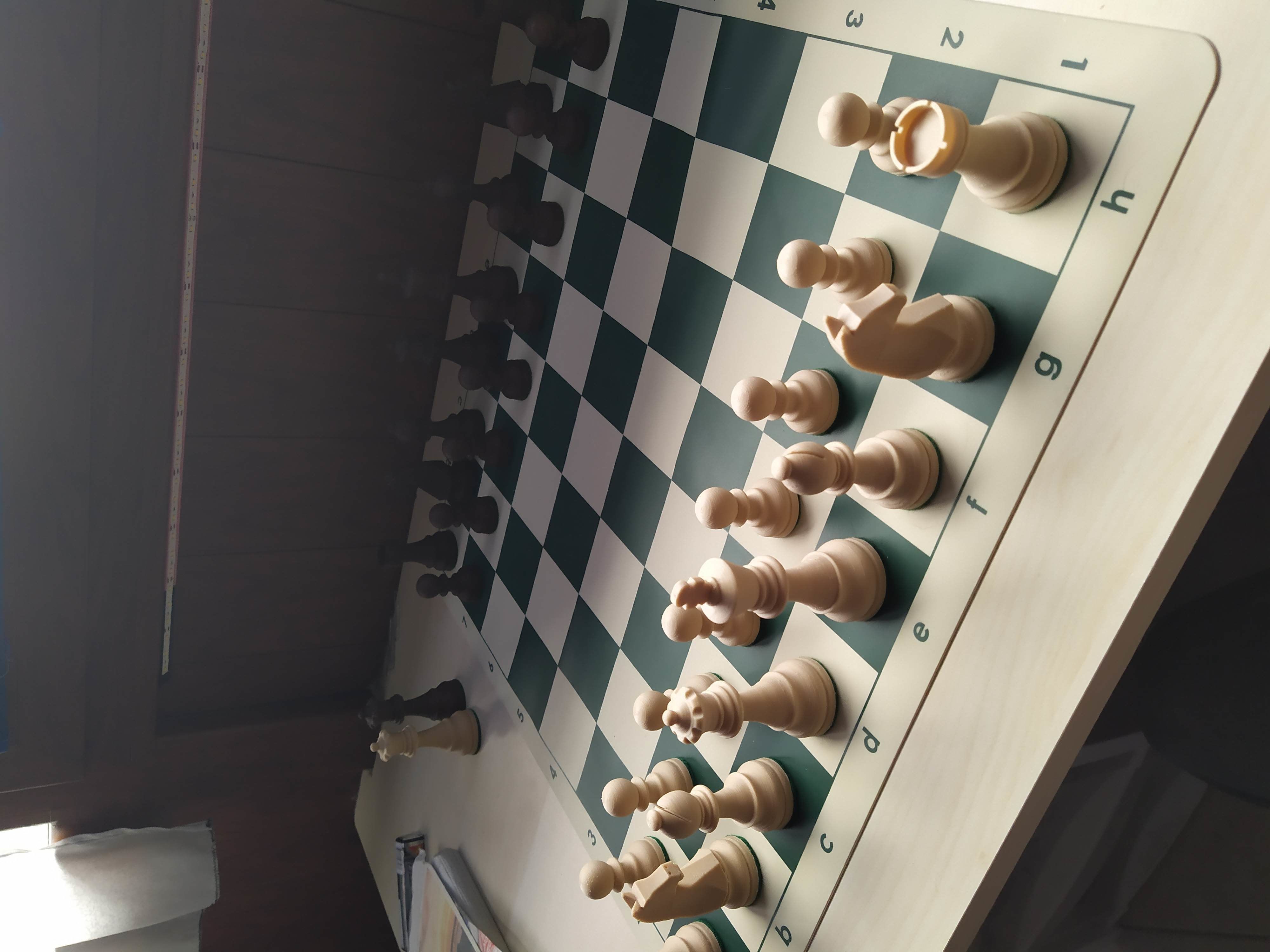 Weighted Staunton DGT Chess Set 3D print model_3