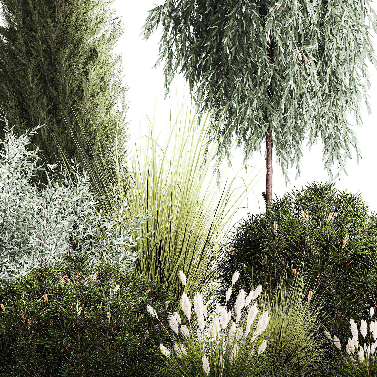 Trees And Bushes For The Garden Spruce Thuja 1192 3D model_2