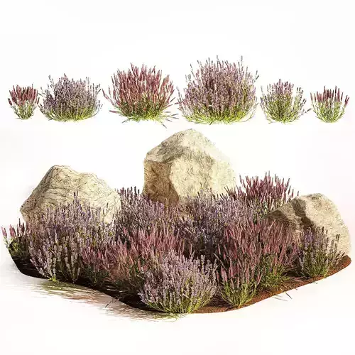 Alpine Slide With Lavender Bushes Sage And Stones 1191 3D model