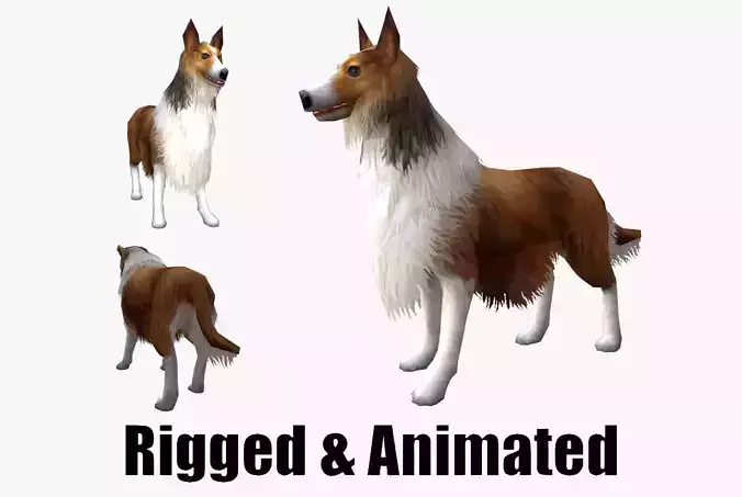 low-poly animated dog Rough Collie 