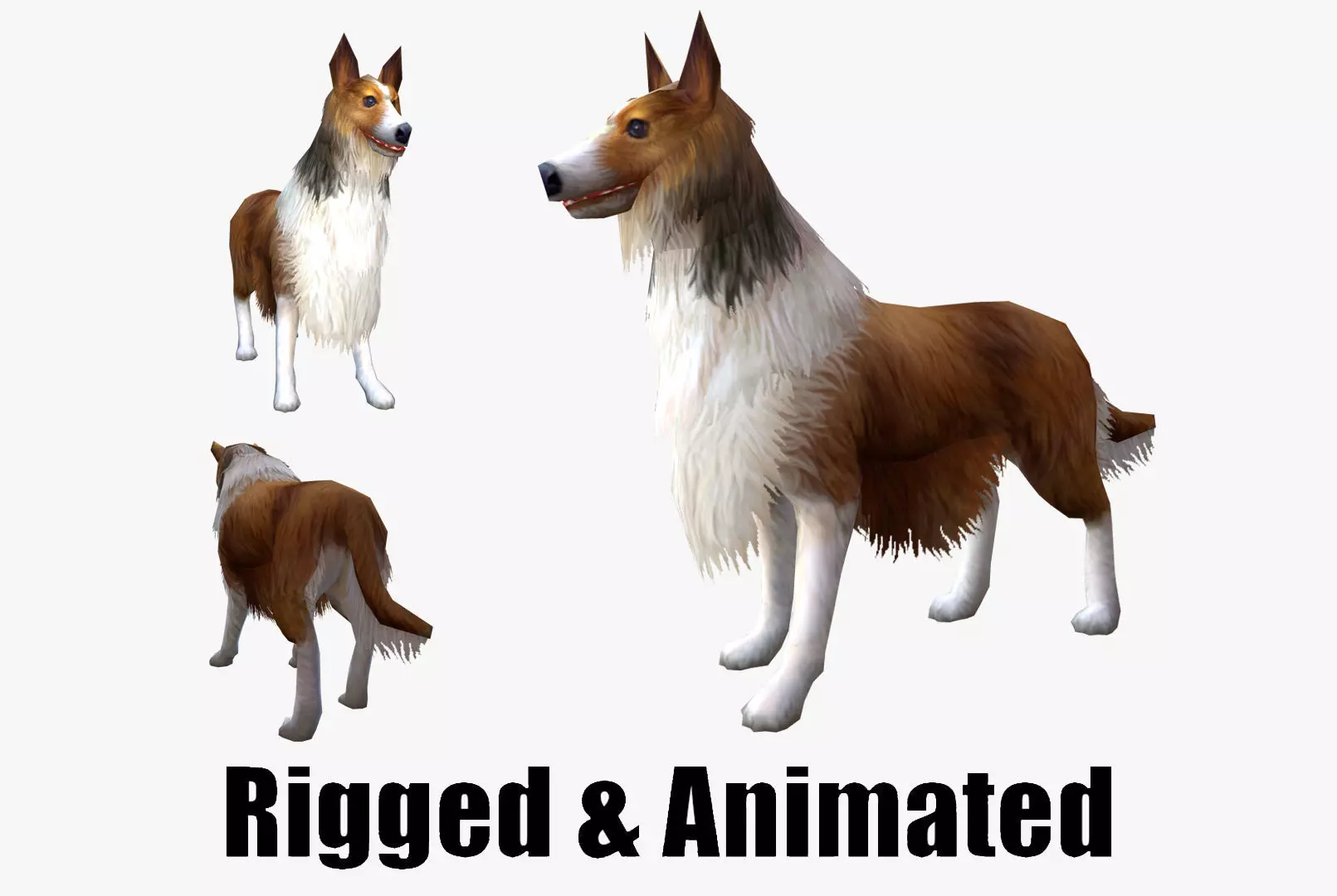 low-poly animated dog Rough Collie Low-poly 3D model