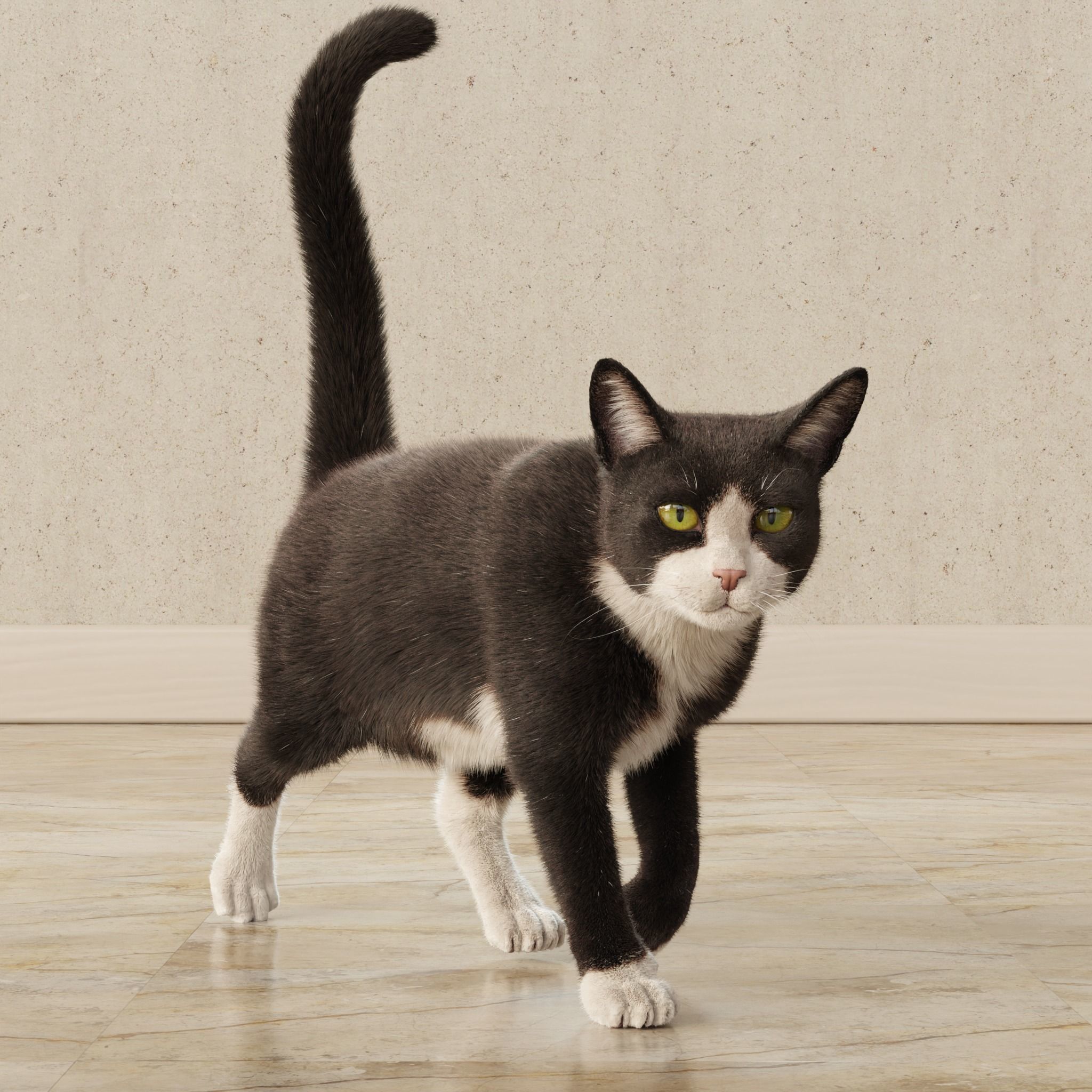  Cat Tuxedo Rigged Animated 3D model_12