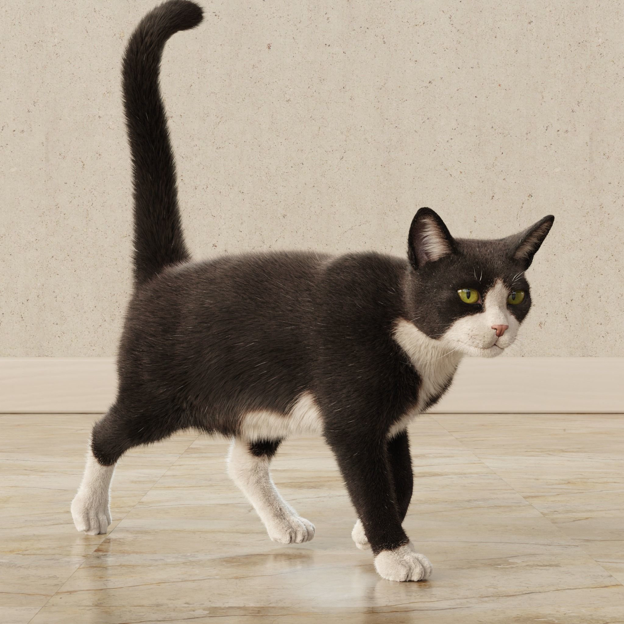  Cat Tuxedo Rigged Animated 3D model_11