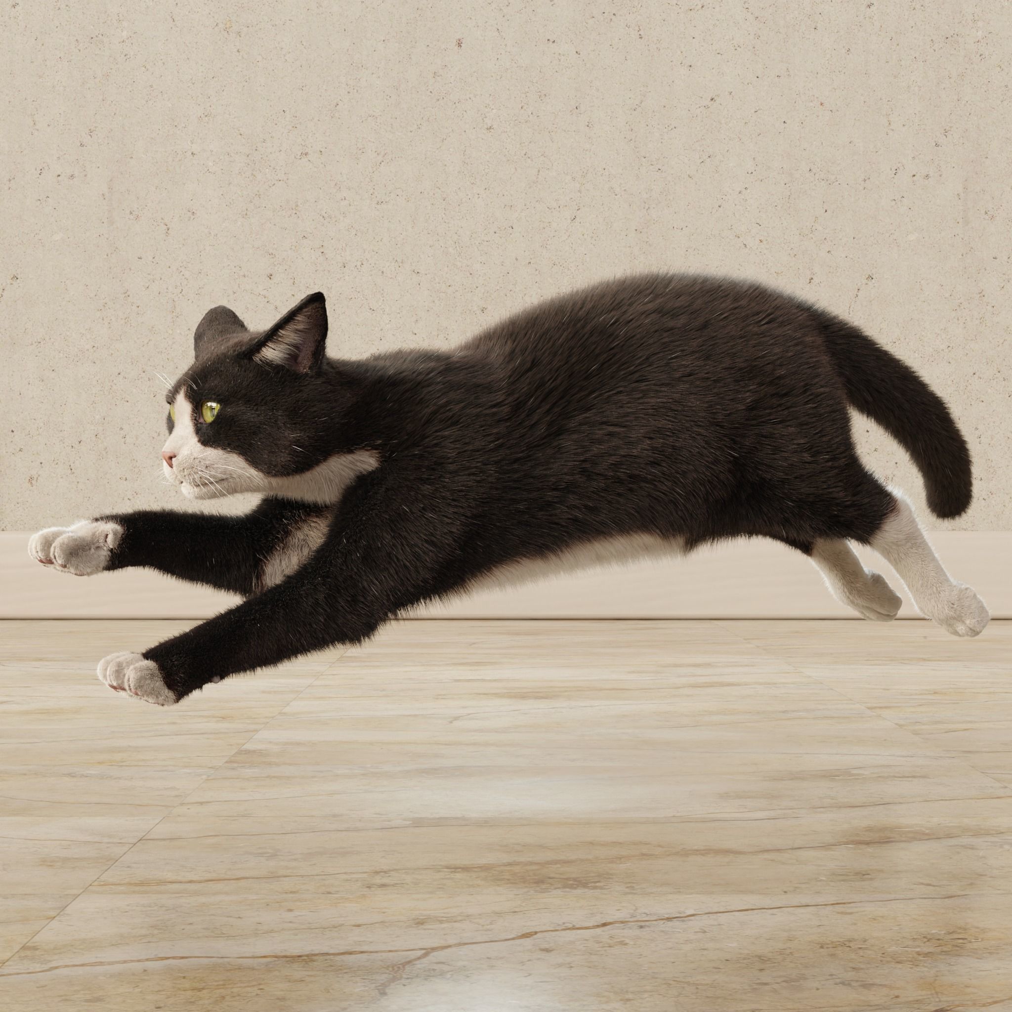 Cat Tuxedo Rigged Animated 3D model_17
